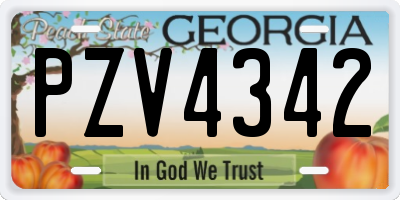 GA license plate PZV4342