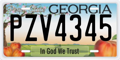GA license plate PZV4345