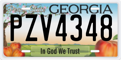 GA license plate PZV4348