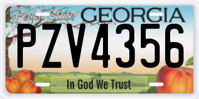 GA license plate PZV4356