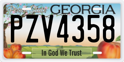 GA license plate PZV4358