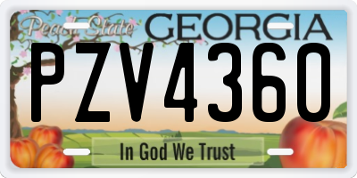 GA license plate PZV4360