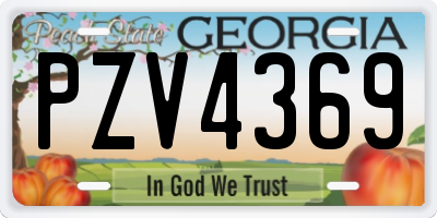 GA license plate PZV4369