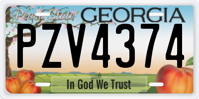 GA license plate PZV4374