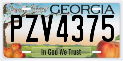 GA license plate PZV4375