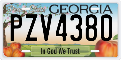 GA license plate PZV4380