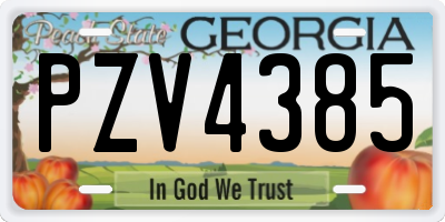 GA license plate PZV4385
