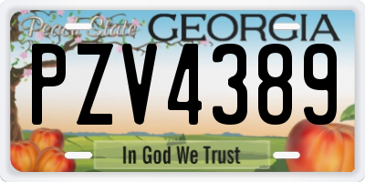 GA license plate PZV4389