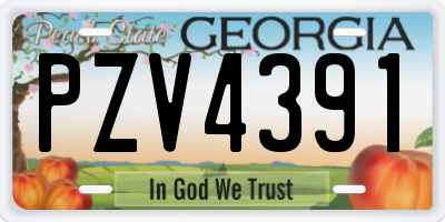 GA license plate PZV4391