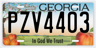 GA license plate PZV4403