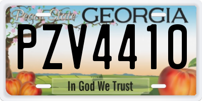 GA license plate PZV4410