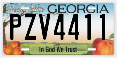 GA license plate PZV4411