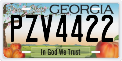 GA license plate PZV4422