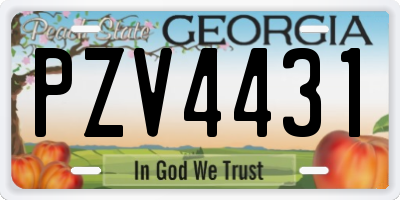 GA license plate PZV4431