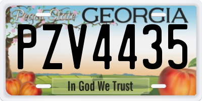 GA license plate PZV4435
