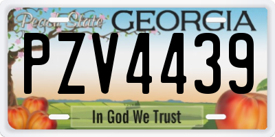 GA license plate PZV4439