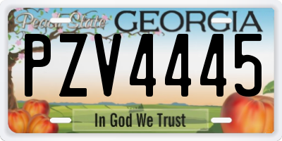 GA license plate PZV4445