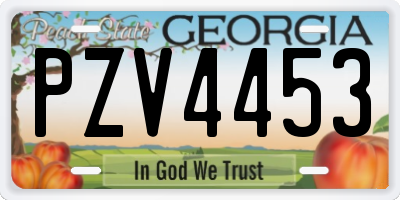 GA license plate PZV4453