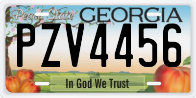 GA license plate PZV4456