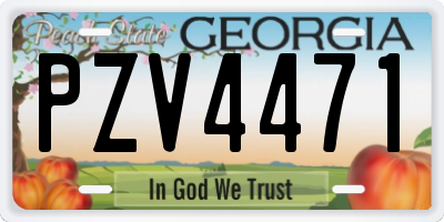 GA license plate PZV4471