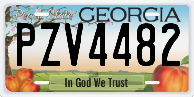 GA license plate PZV4482