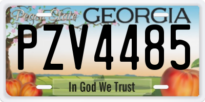 GA license plate PZV4485