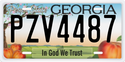 GA license plate PZV4487