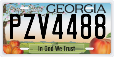 GA license plate PZV4488
