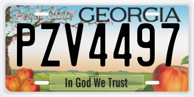 GA license plate PZV4497