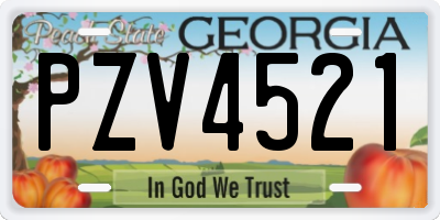 GA license plate PZV4521