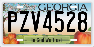 GA license plate PZV4528