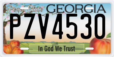 GA license plate PZV4530