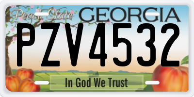 GA license plate PZV4532