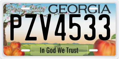 GA license plate PZV4533