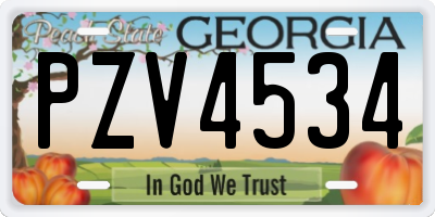 GA license plate PZV4534