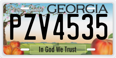 GA license plate PZV4535