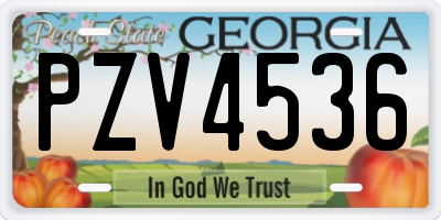 GA license plate PZV4536