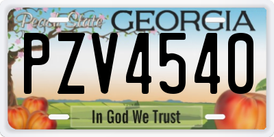 GA license plate PZV4540