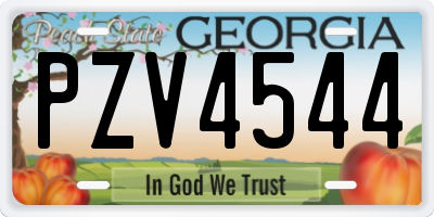 GA license plate PZV4544