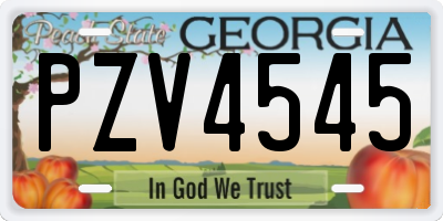 GA license plate PZV4545