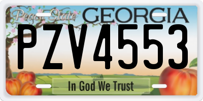 GA license plate PZV4553