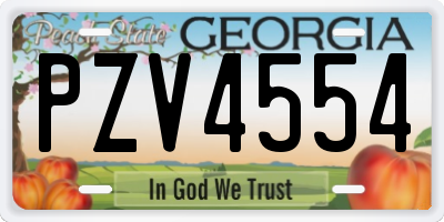 GA license plate PZV4554