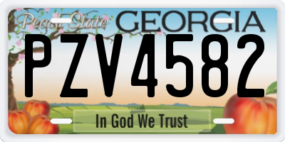 GA license plate PZV4582