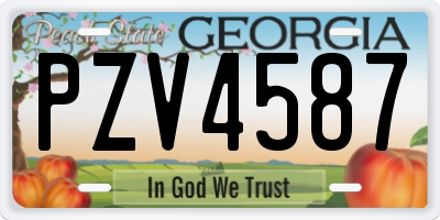 GA license plate PZV4587