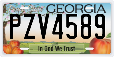 GA license plate PZV4589
