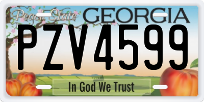 GA license plate PZV4599