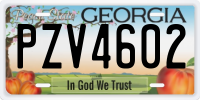 GA license plate PZV4602