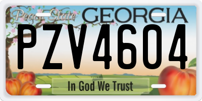 GA license plate PZV4604