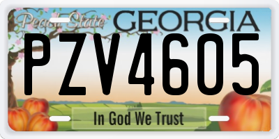 GA license plate PZV4605
