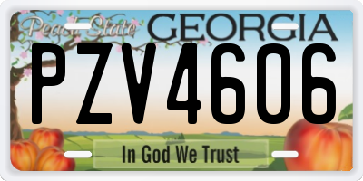 GA license plate PZV4606